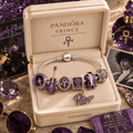 PRCE Sliver Charm Bracelet Set NHVH